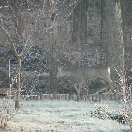 Guest house Napsugar Vendeghaz Egerszalok
